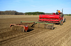 Semanat lucerna toamna