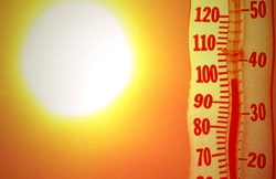 Stresul termic la culturi