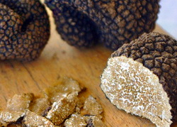 Trufele in bucatarie