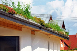 subventii de la stat pentru acoperisuri verzi