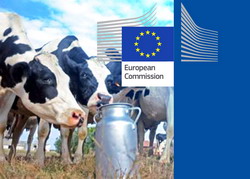 600 de milioane de euro pentru fermierii europeni afectati de criza laptelui