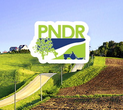 Cereri de finantare depuse in 2016 prin PNDR 2020