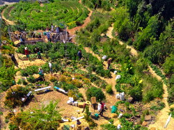 Curs de introducere in permacultura la Titu, Dambovita