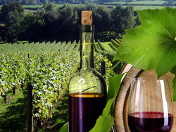 Drumul Vinului, proiect cu finantare europeana in judetul Iasi