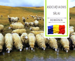 Expozitia de ovine Simleul Silvaniei, jud. Salaj