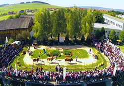 Parada Taurilor Semtest BVN – Singurul eveniment de acest gen din tara! 1 octombrie 2016