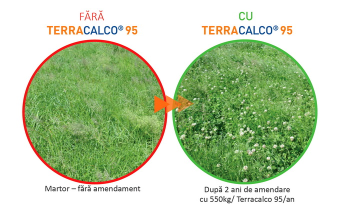 TERRACALCO 95 - amendament pentru pajisti