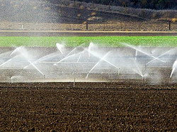 MADR propune un ajutor de minimis in agricultura, in sectorul de irigatii