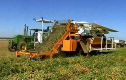 Combinele de recoltat tomate din California