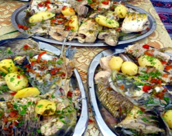 Ecoturism in Delta Dunarii: Ghidul micului producator si al pensiunii locale, realizat cu sprijinul ANSVSA