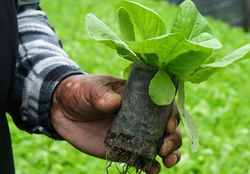 good bee Credit pentru fermieri pentru subventia APIA