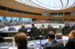 Luxemburg: propunerile Romaniei pentru revizuirea legislatiei masurilor de sprijin UE