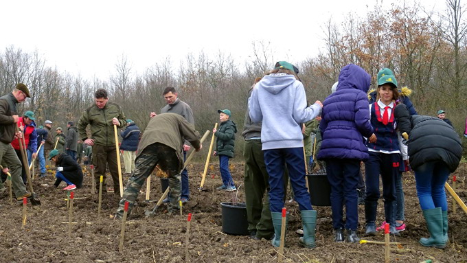 Campania de impaduriri din toamna 2016 - a