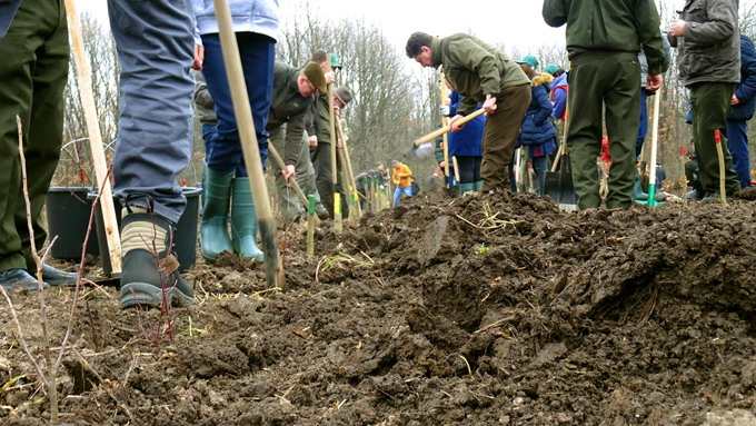 Campania de impaduriri din toamna 2016 - b