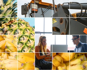 Ecuador adera la Acordul comercial UE-Columbia / Peru