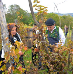 Expozitia documentara online – Calatoriti in Tara Vinului!