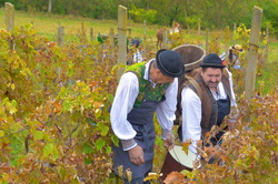 Expozitia documentara online - Calatoriti in Tara Vinului
