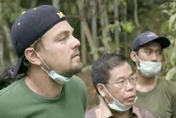 Incalzirea globala si solutiile verzi !