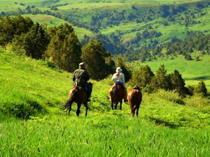 Ajutor de minimis pentru destinatiile ecoturistice prin programul pilot Start Up Mediu Ecoturism