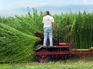 Se prelungeste sesiunea de primirea a proiectelor pentru procesarea produselor agricole prin PNDR 2020