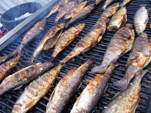 Festivalul Pestelui Victorita Pescarita in 17-18 decembrie 2016 la Targul de la Agronomie