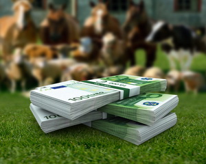 Control in exploatatiile de animale pentru respectarea ecoconditionalitatii ca baza de acordare a subventiilor in zootehnie pe anul 2016