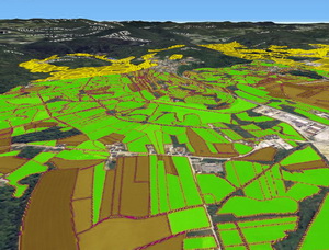 Ministrul Daea a verificat la fata locului controalele APIA pe teren din judetele Alba si Sibiu