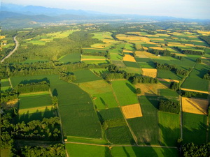 Platile compensatorii aplicabile pe terenuri agricole in 2017