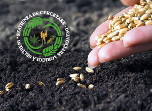 Oferta de seminte SCDA Secuieni-Neamt pentru primavara anului 2017