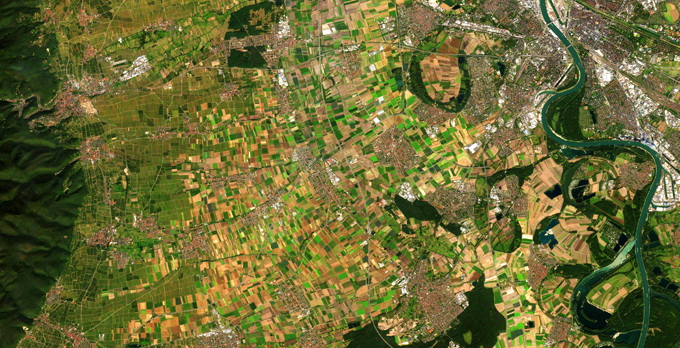 BASF si Agentia Spatiala Europeana - servicii digitale pentru fermieri