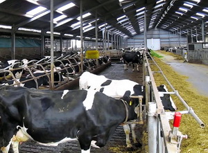 Fondurile pentru dezvoltarea fermelor zootehnice au fost solicitate integral inainte de termenul limita