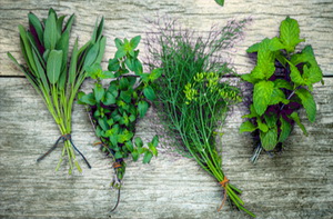 Mirodenii mediteraneene in gradina de langa casa