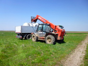 Recomandari de fertilizare la grau