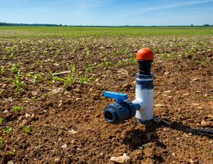 Romania doreste transferul de tehnologie de irigatii din Israel