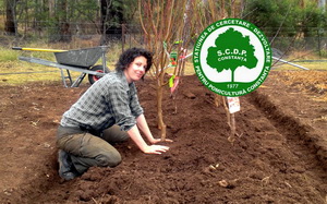 SCDP Constanta: Oferta de pomi fructiferi si plante dendrologice pentru primavara 2017