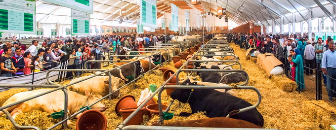 Salonului International al Agriculturii din Maroc  SIAM 2017 - II