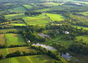 Sprijinul pentru prima impadurire si crearea de suprafete impadurite poate fi solicitat pana la 31 martie 2017