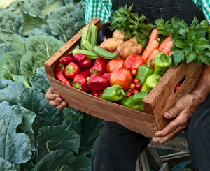 Topul tarilor in agricultura ecologica