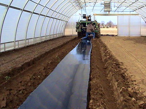 Pregatirea solului in solarii