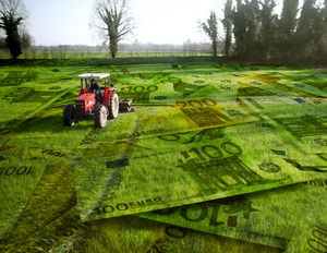 MADR: Facilitarea accesului la finantare al fermierilor discutata cu reprezentantii bancilor