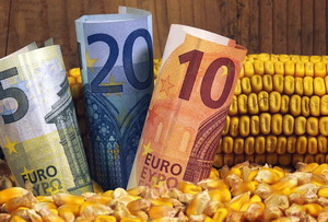 Piata porumbului-boabe – care sunt perspectivele mondiale?