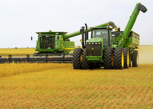 Scaderea productiei de grau dupa recordul recoltei din 2016