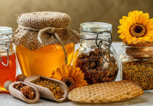 Targul Apicol Slobozia 10-12 martie 2017