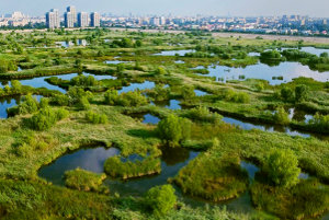 Parcului Natural Vacaresti i s-a atribuit un administrator pana in 2027