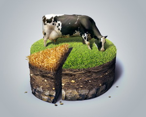 601.172 de cereri depuse pana in acest moment pentru o suprafata de 3.462.500 hectare