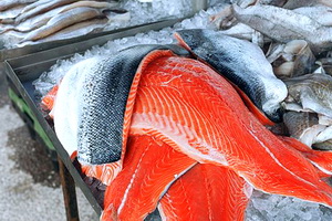 Alfredo Seafood: Somonul si macroul sunt campioni in topul pestelui in Romania