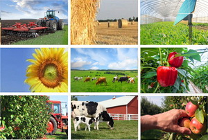 Tinta pentru anul 2017 vizeaza atragerea a 1,6 mld de euro prin PNDR 2020