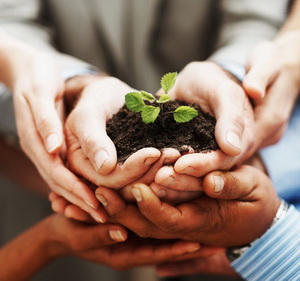 Workshop - Drumul spre succes in agricultura si productia alimentara