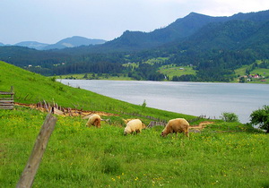 Turismul Rural Romanesc in context international. Actualitate si Perspective