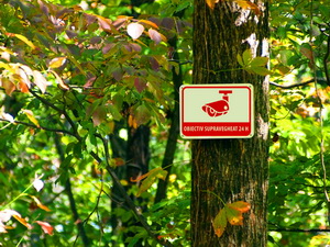 Modificarea legislatiei privind asigurarea pazei si protectiei vegetatiei forestiere